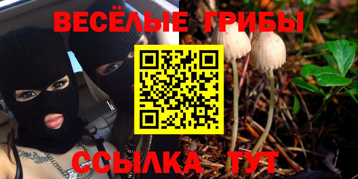 Галлюциногенные грибы мицелий Тольятти